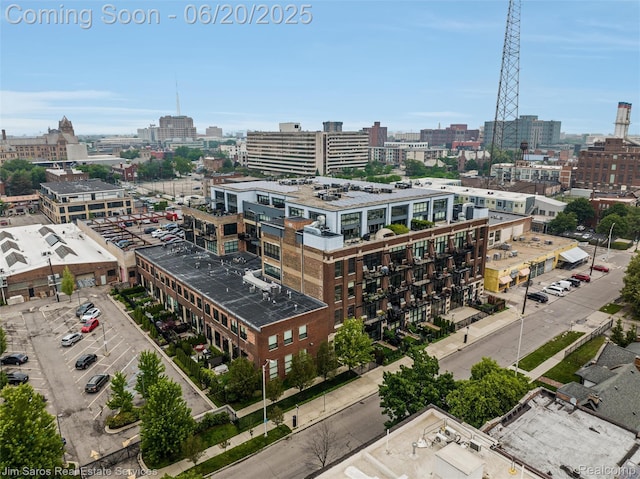 444 W Willis St Unit 211, Detroit, MI 48201 - view of city
