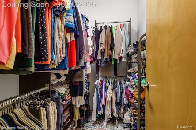 444 W Willis St Unit 211, Detroit, MI 48201 - view of spacious closet