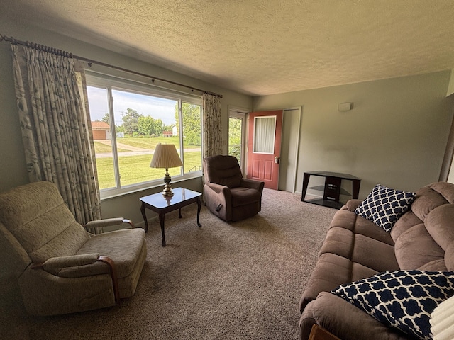 6446 Skylark Dr, Jackson, MI 49201 - photo 16