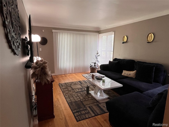 21421 Bournemouth St, Taylor, MI 48225 - living room with hardwood / wood-style floors