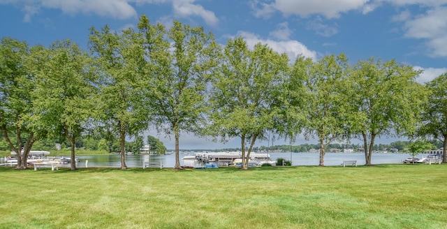 61626 Colony Bay Dr Unit 15, Cassopolis, MI 49031 - view of grassy yard with a water view