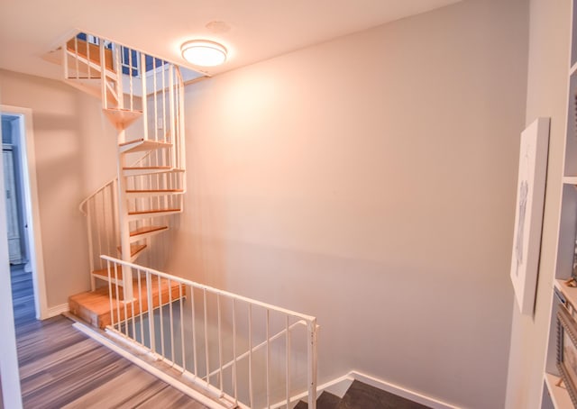 61626 Colony Bay Dr Unit 15, Cassopolis, MI 49031 - staircase with wood finished floors and baseboards
