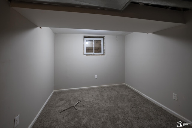 901 Chicago Blvd, Detroit, MI 48202 - finished basement featuring carpet and baseboards