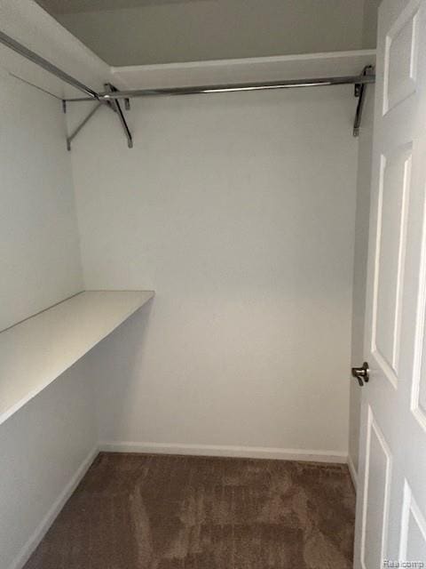5959 Augusta Ln Unit 20, Grand Blanc, MI 48439 - spacious closet with carpet floors