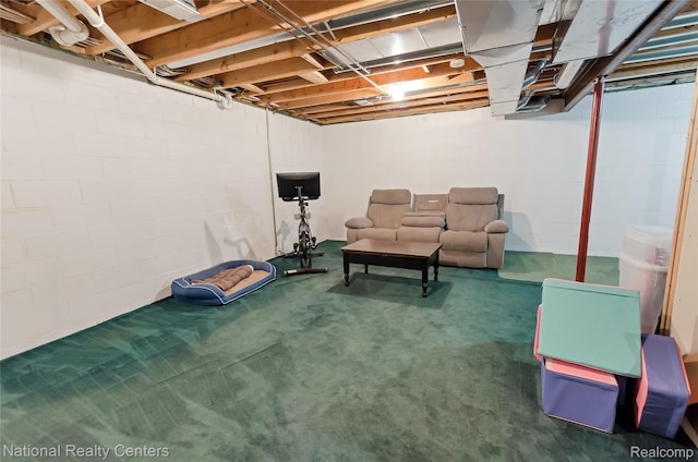 1471 Eldon Ct, Gladwin, MI 48624 - unfinished below grade area with carpet floors