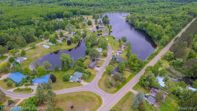 1471 Eldon Ct, Gladwin, MI 48624 - aerial view of property's location featuring a forest and a large body of water