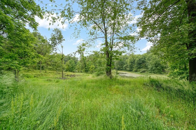 10450 Cement City Hwy, Addison, MI 49220 - photo 57