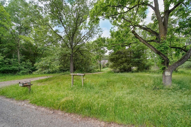 10450 Cement City Hwy, Addison, MI 49220 - photo 52