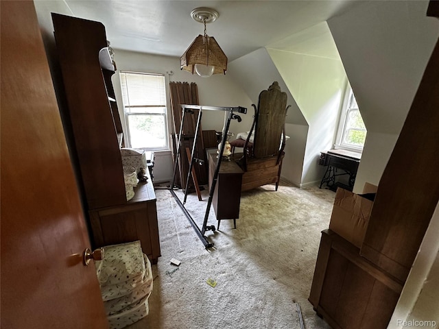 12910 Wilbur Rd, Clinton, MI 49236 - bedroom with light colored carpet, multiple windows, and vaulted ceiling