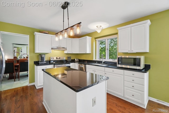 21898 Aspen Ct, Farmington Hills, MI 48335 - kitchen with appliances with stainless steel finishes, under cabinet range hood, and white cabinetry