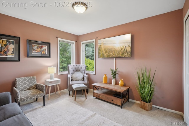 21898 Aspen Ct, Farmington Hills, MI 48335 - living area with carpet floors and baseboards