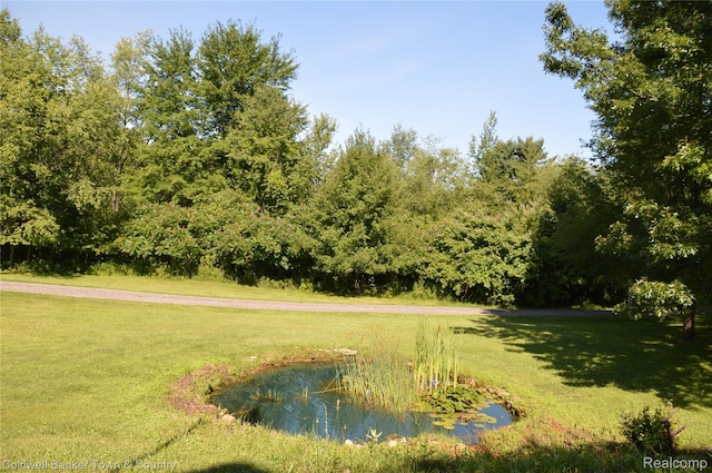 1355 Maxfield Rd, Brighton, MI 48114 - photo 7