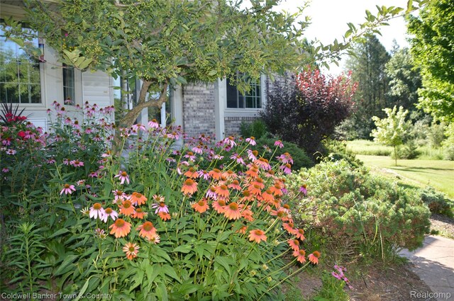 1355 Maxfield Rd, Brighton, MI 48114 - photo 5