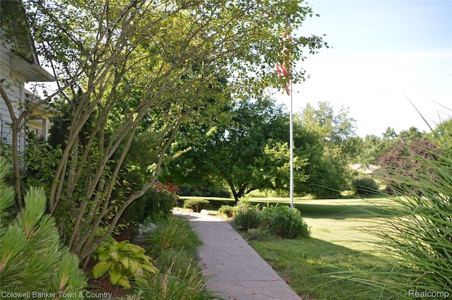 1355 Maxfield Rd, Brighton, MI 48114 - photo 4