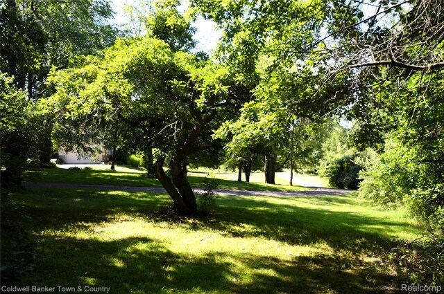 1355 Maxfield Rd, Brighton, MI 48114 - photo 62