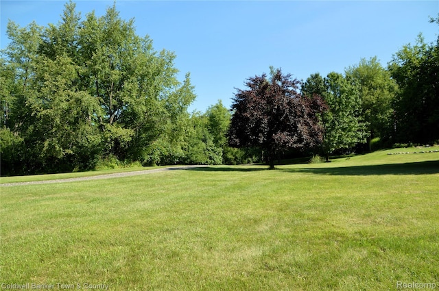 1355 Maxfield Rd, Brighton, MI 48114 - photo 6