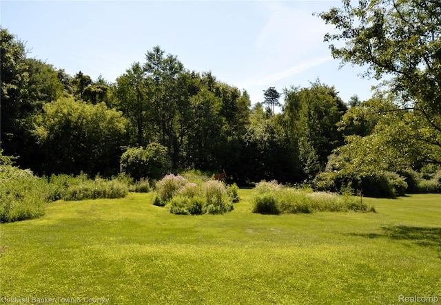 1355 Maxfield Rd, Brighton, MI 48114 - photo 56