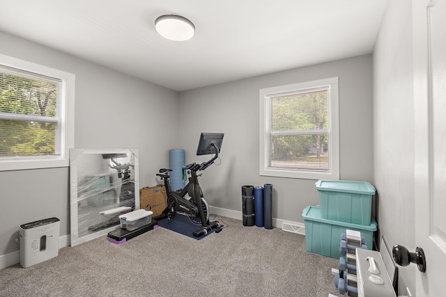 645 Amity Ave, Muskegon, MI 49442 - workout area featuring plenty of natural light and carpet floors