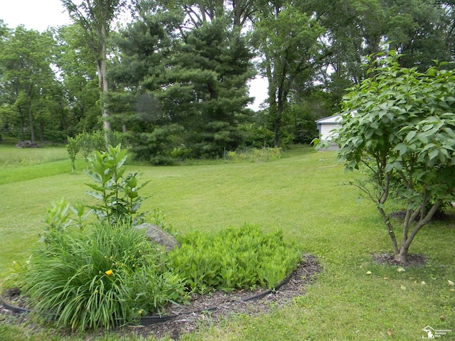 6864 Hazeldell Dr, Temperance, MI 48182 - view of grassy yard