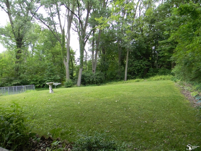 6864 Hazeldell Dr, Temperance, MI 48182 - view of yard