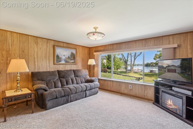 8331 Hilton Rd, Brighton, MI 48114 - living room featuring wood walls and light carpet