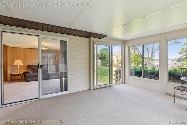 8331 Hilton Rd, Brighton, MI 48114 - unfurnished sunroom with carpet and wood walls