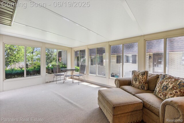 8331 Hilton Rd, Brighton, MI 48114 - sunroom with carpet