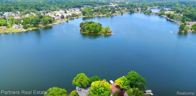 8331 Hilton Rd, Brighton, MI 48114 - drone / aerial view of a large body of water