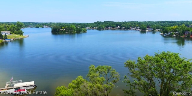 8331 Hilton Rd, Brighton, MI 48114 - water view