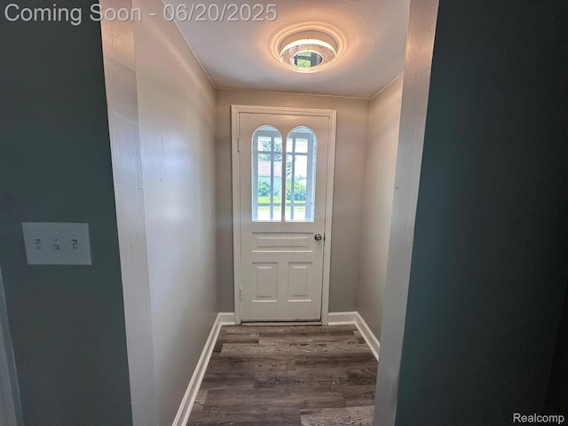 101 Morrell St, Yale, MI 48097 - doorway with dark wood-type flooring and baseboards