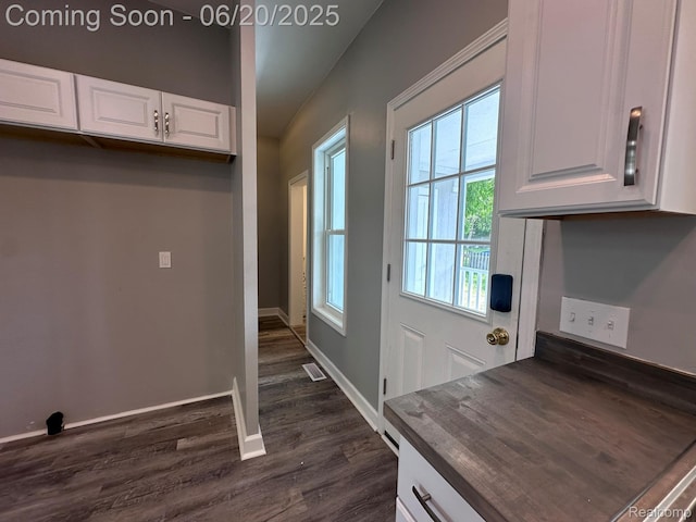 101 Morrell St, Yale, MI 48097 - entryway featuring dark wood finished floors and baseboards