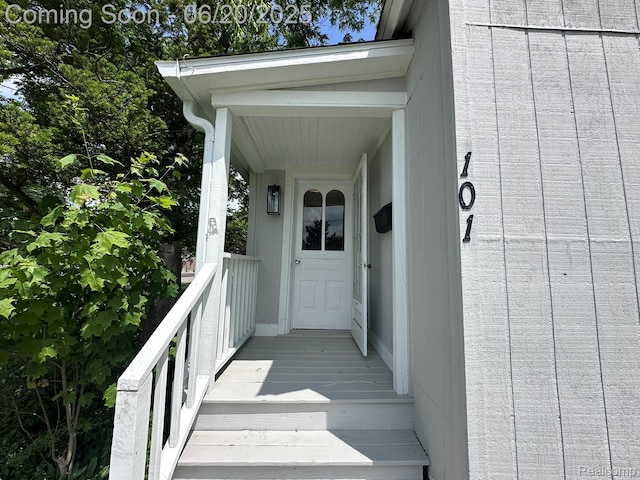 101 Morrell St, Yale, MI 48097 - view of exterior entry