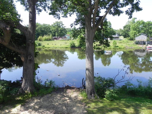 26370 S Shore Dr, Mendon, MI 49072 - water view