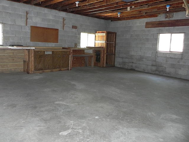 26370 S Shore Dr, Mendon, MI 49072 - basement featuring concrete block wall and plenty of natural light