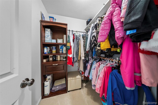 8206 Saint James Ct, Grosse Ile, MI 48138 - view of walk in closet