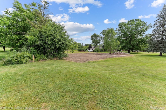 9013 Canton Center Rd, Plymouth, MI 48170 - view of green lawn