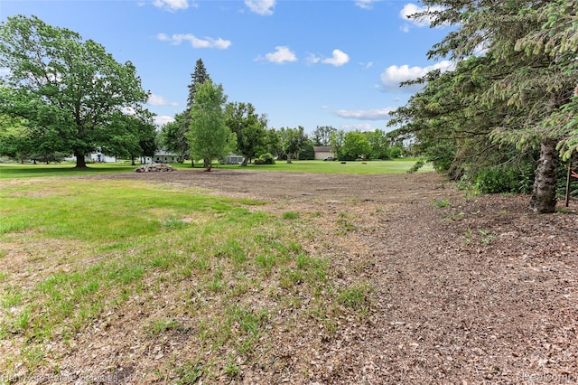 9013 Canton Center Rd, Plymouth, MI 48170 - view of yard