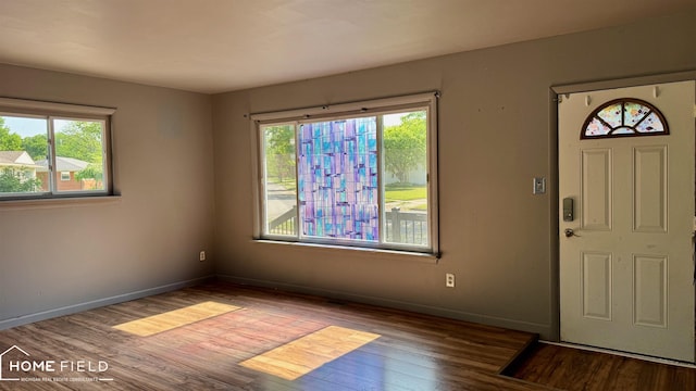 713 Wiltshire Dr, Owosso, MI 48867 - entryway featuring healthy amount of natural light and wood finished floors