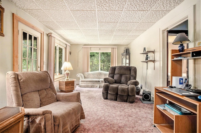 52 Roseneath Ave, Battle Creek, MI 49037 - view of carpeted living area