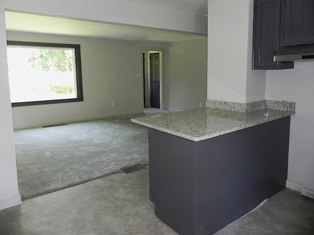 27869 M-60, Mendon, MI 49072 - kitchen with carpet floors, a peninsula, light stone counters, and dark cabinets