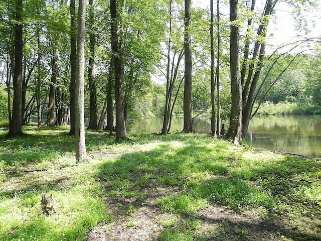 27869 M-60, Mendon, MI 49072 - view of yard with a water view