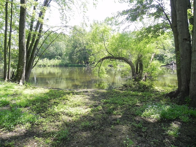 27869 M-60, Mendon, MI 49072 - water view featuring a heavily wooded area