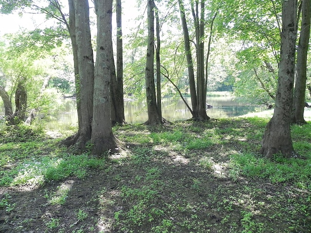 27869 M-60, Mendon, MI 49072 - view of wooded area featuring a water view