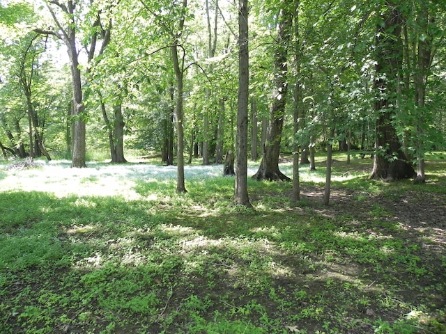 27869 M-60, Mendon, MI 49072 - view of woods