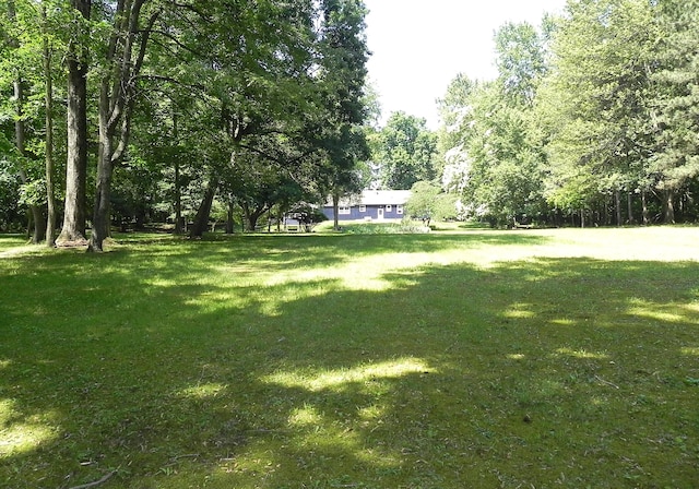 27869 M-60, Mendon, MI 49072 - view of grassy yard