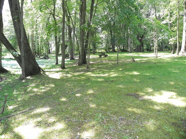 27869 M-60, Mendon, MI 49072 - view of green lawn