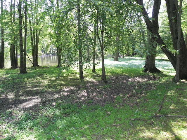 27869 M-60, Mendon, MI 49072 - view of nature