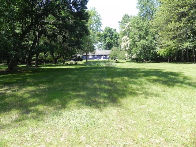 27869 M-60, Mendon, MI 49072 - view of green lawn