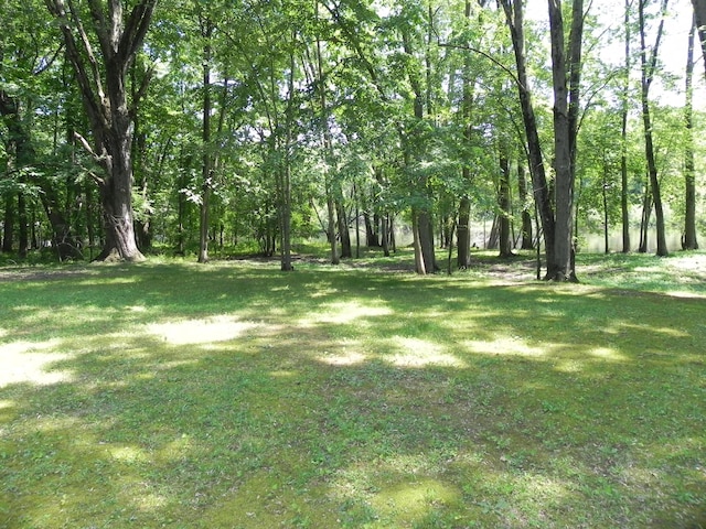 27869 M-60, Mendon, MI 49072 - view of grassy yard
