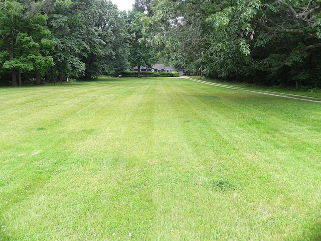 27869 M-60, Mendon, MI 49072 - view of green lawn